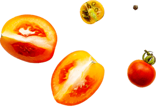 veg1